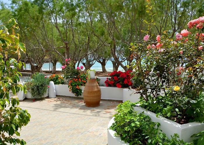 Maganas * Livadi (Astypalaia)