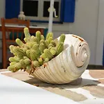 Maganas *