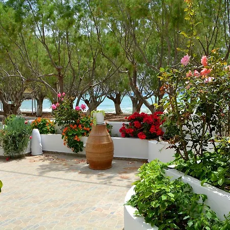 Maganas * Livadi (Astypalaia)